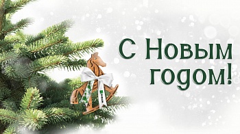 С Новым, 2026 годом!